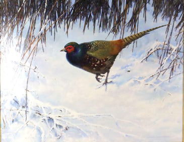 David Ord Kerr (British, 1951) "Pheasant" Oil Painting on Canvas