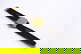 item-211389051=4