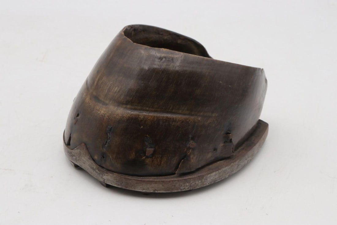 Late 19th C. English Horse Hoof Ornament (1 of 3)