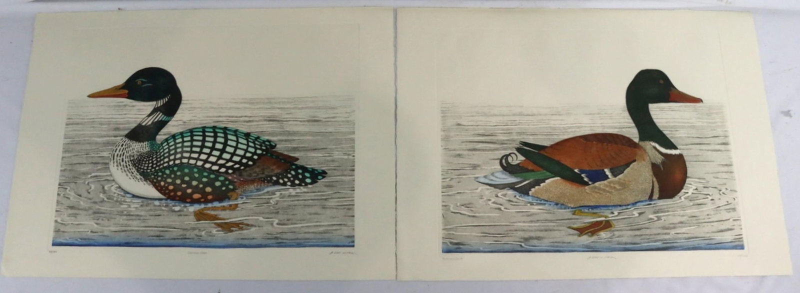 Pair of Dan Mitra Ornithological Lithographs: Dan Mitra “Common Loon” & "Mallard Duck" Limited Edition Lithograph Each measure approx. - 26" W x 19 1/2" H. A limited edition color lithograph depicting a common