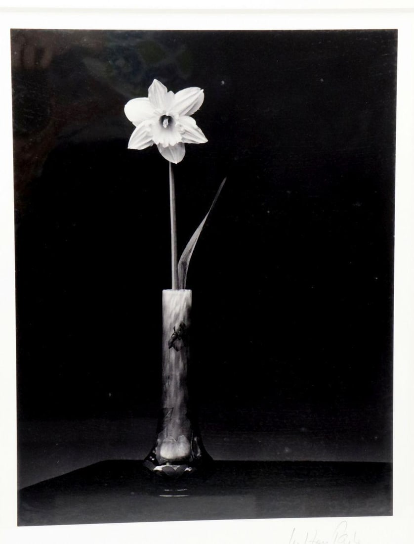 Milton Parker "Narcissus May 2015" Signed Silver Gelatin Photograph: Milton Parker “Narcissus May 2015” Silver Gelatin Photograph 18" W x 21 1/2" H. A silver gelatin photograph titled Narcissus May 2015, featuring the artist's distinctive black-