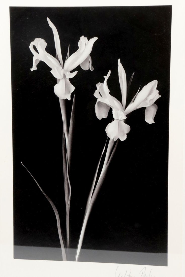 Milton Parker "Iris" Silver Gelatin Print: Milton Parker “Iris” Silver Gelatin Print 17 1/2" W x 24" H. A silver gelatin print depicting an iris in the artist's signature black-and-white photographic style. Signed in pe