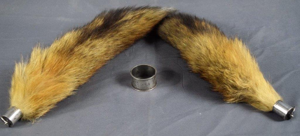 Grover Cleveland Family Estate (Owned Fox Brushes) (1 of 4)