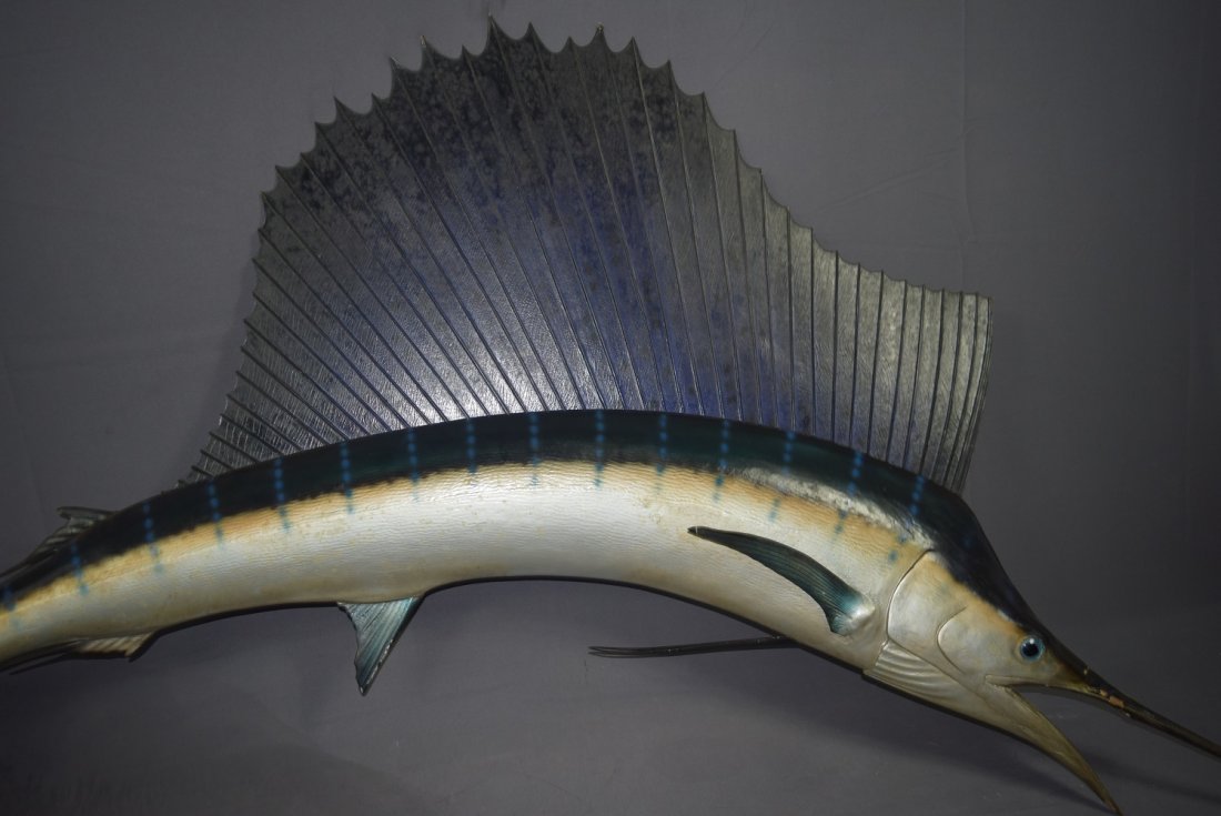 Fiberglass Swordfish (1 of 2)