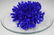 Yves Klein, Pigment (Directly From Artist Studio) - 3
