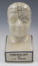 Phrenology by L.N. Fowler Porcelain Head