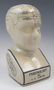 Phrenology by L.N. Fowler Porcelain Head - 2