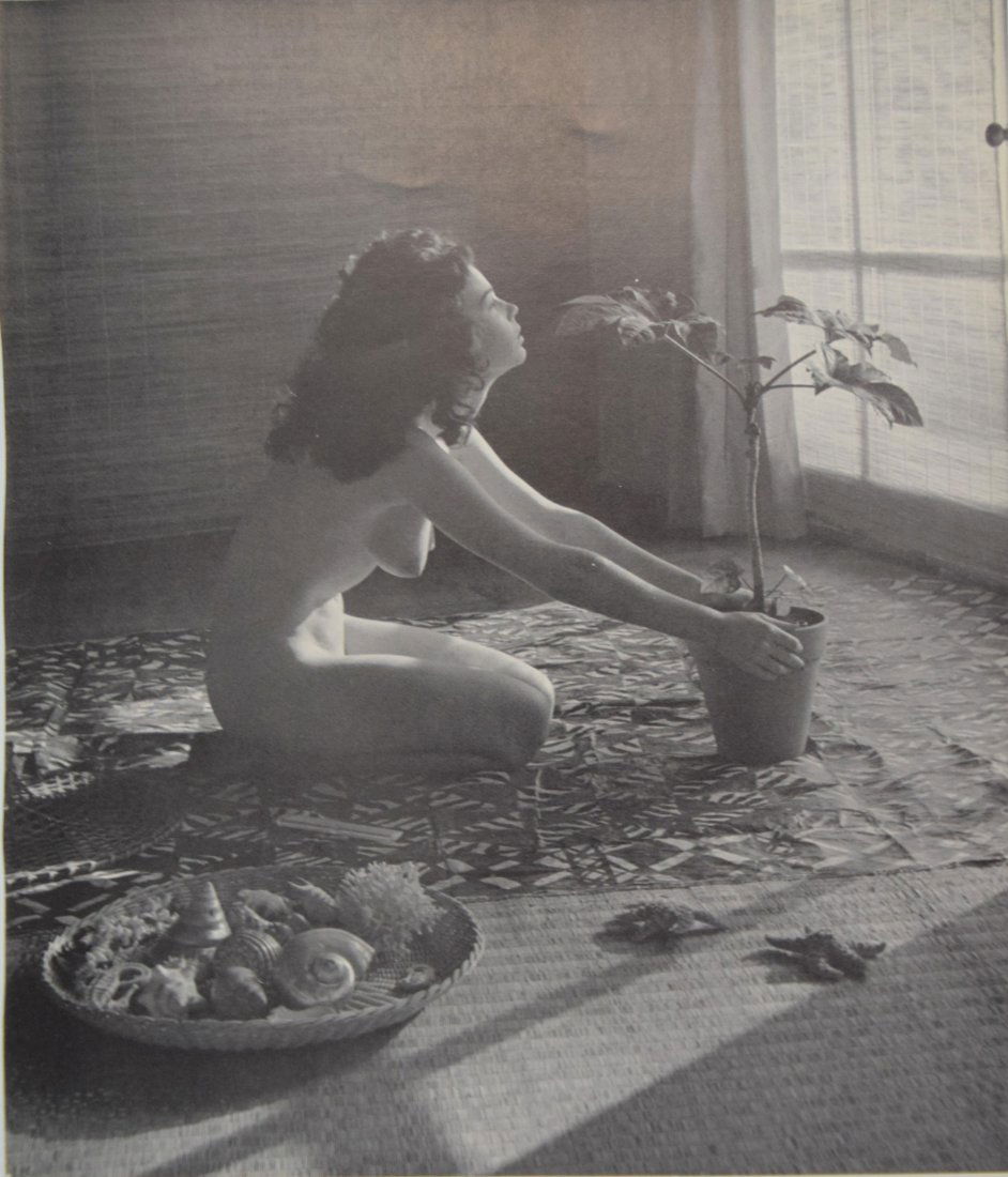 Andre de Dienes - Nude with Plant: ANDRE DE DIENES (1913-1985) Nude with Plant Photo-litho c.1964 Printed in Great Britain 9 1/2" x 8 1/4"
