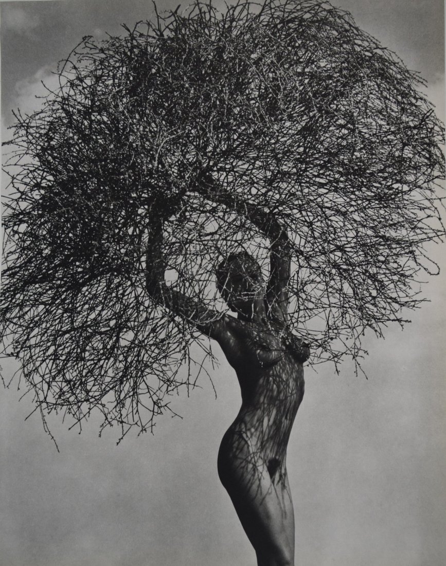 Herb Ritts - Nude , Neith with Tumbleweed , 1986: HERB RITTS (1952-2002) Herb Ritts - Nude , Neith with Tumbleweed , 1986 Sheet fed gravure C. 1986 Printed in Japan 14" x 11"