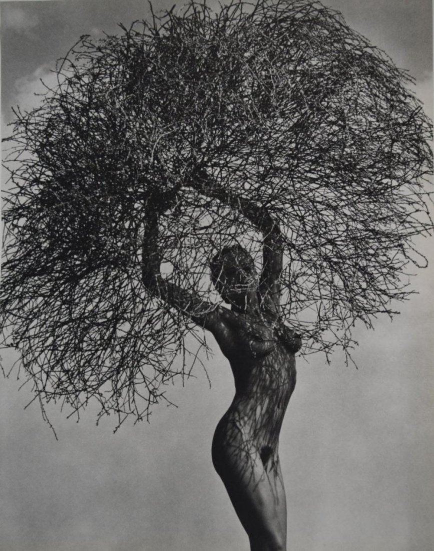 Herb Ritts - Nude , Neith with Tumbleweed , 1986: HERB RITTS (1952-2002) Herb Ritts - Nude , Neith with Tumbleweed , 1986 Sheet fed gravure C. 1986 Japan 14" x 11"