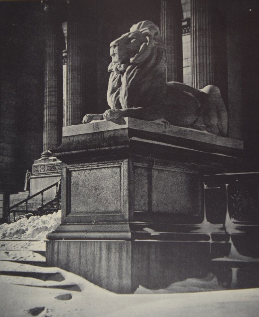 Alexander Alland - Snowdrift And The Lion (1 of 1)