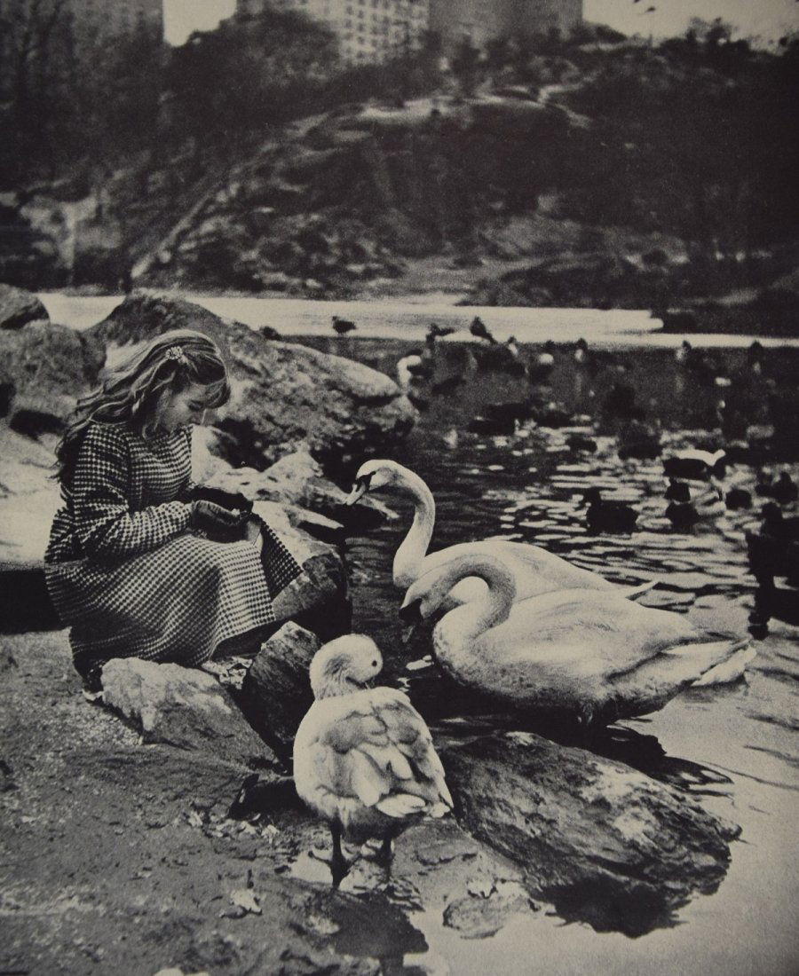 Alexander Alland - Idyll (1 of 1)