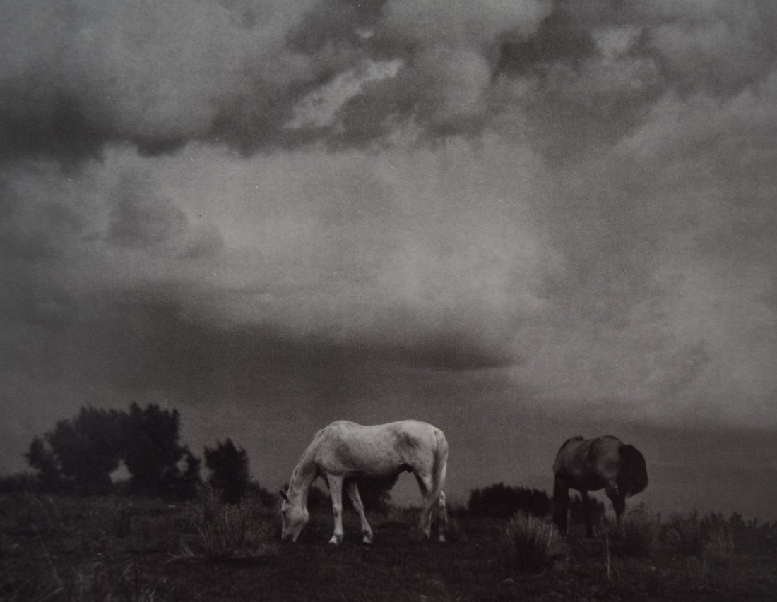 Paul Strand - Grazing Horses, Taos, NM (1 of 1)