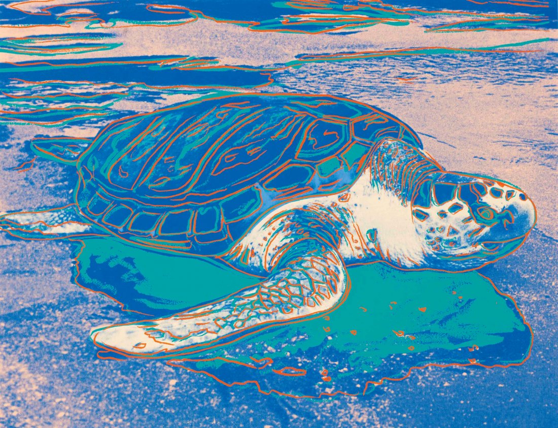 After Andy Warhol - Turtle (Wove Paper) (1 of 1)