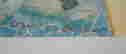 item-79367507=3