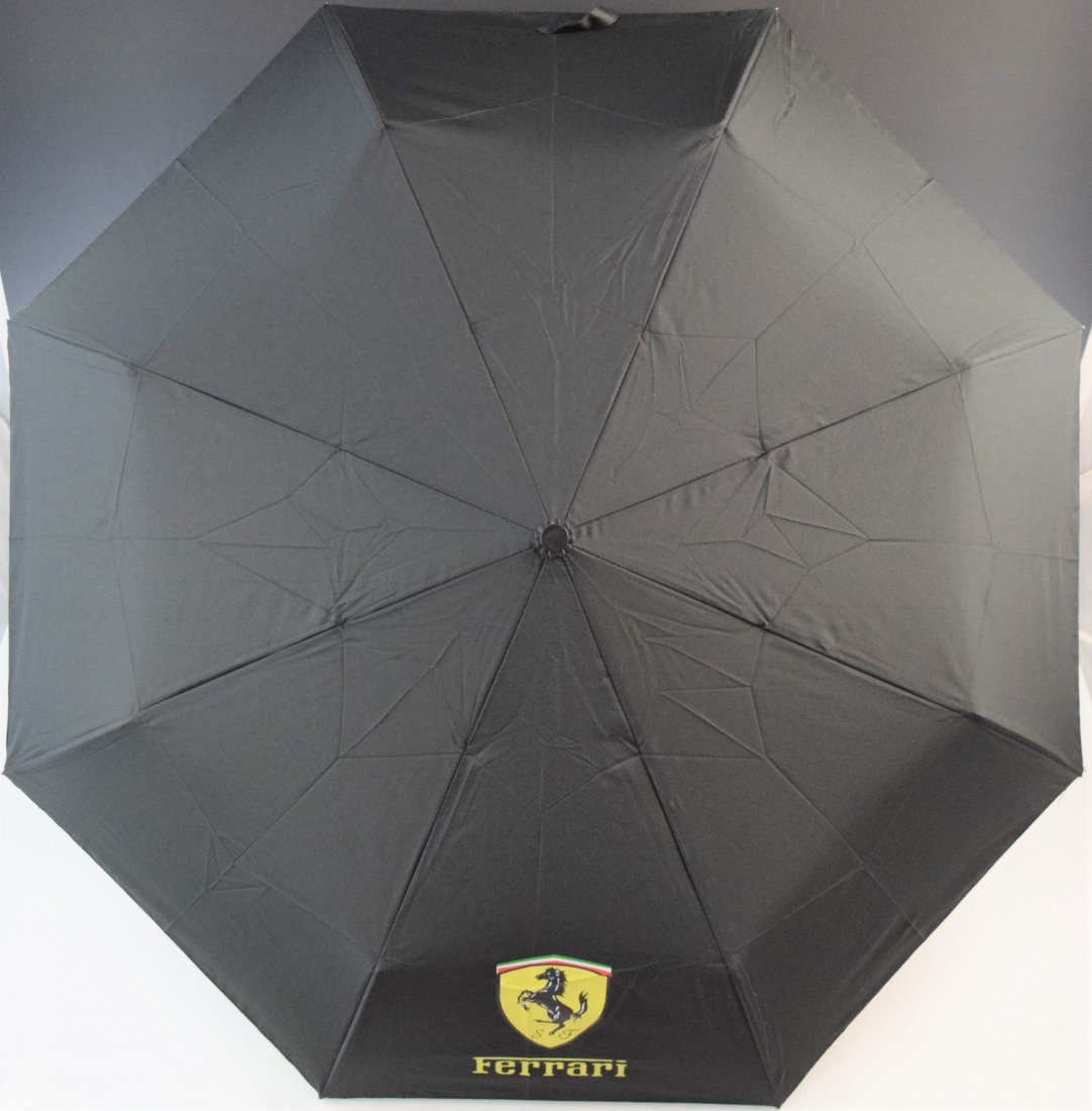 Ferrari Umbrella (1 of 3)