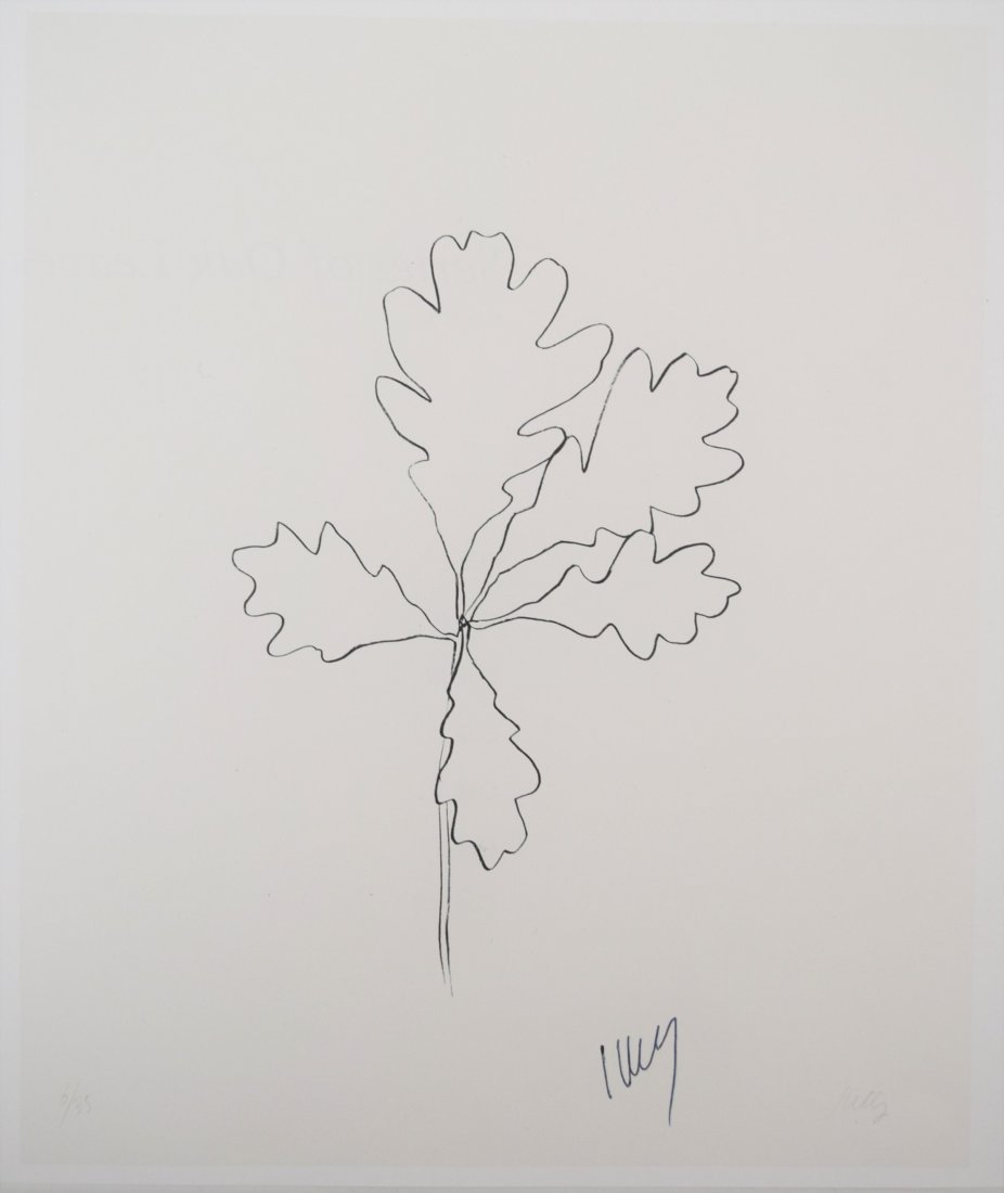 Ellsworth Kelly - Untitled (Signed Print) (1 of 2)