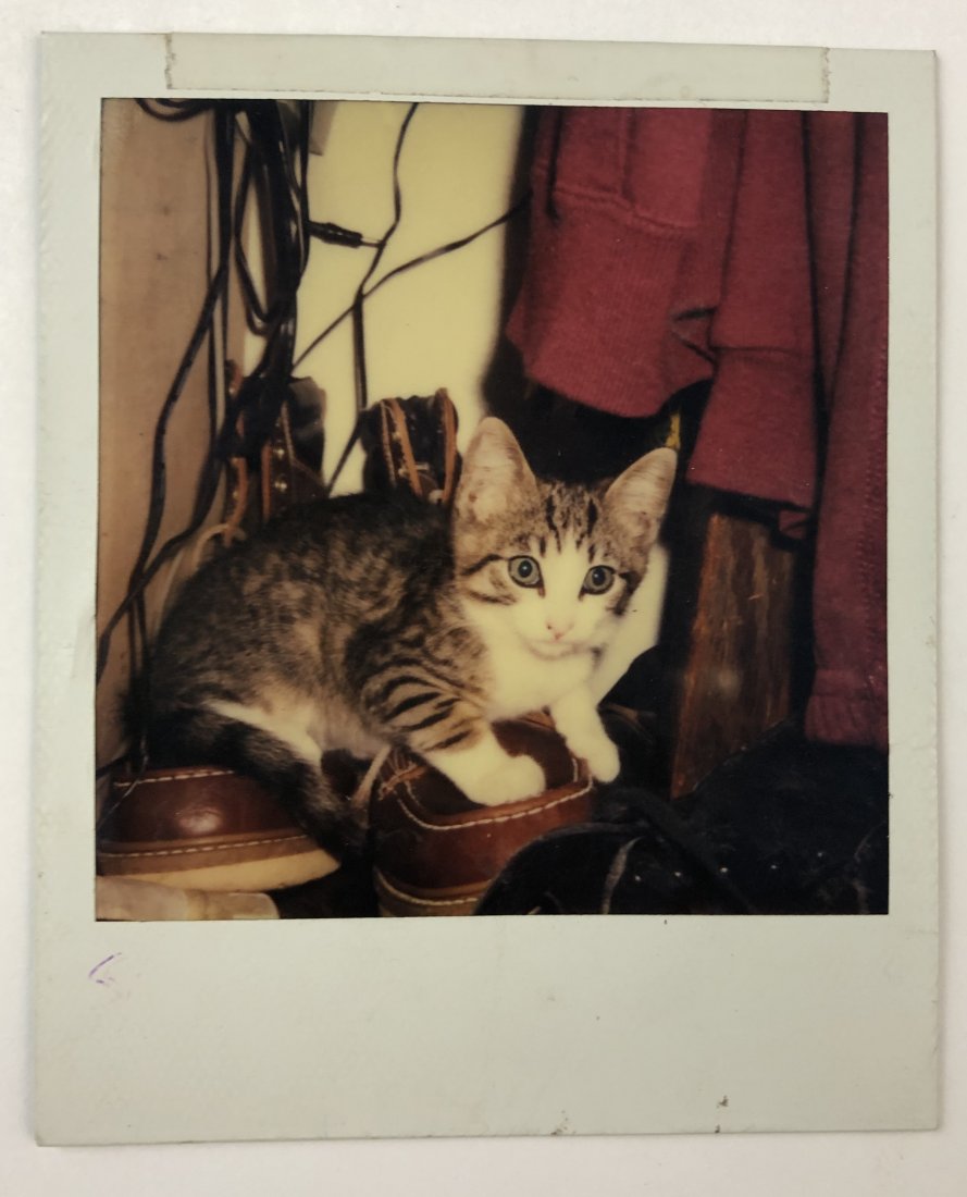 Andy Warhol - Polaroid (1 of 2)