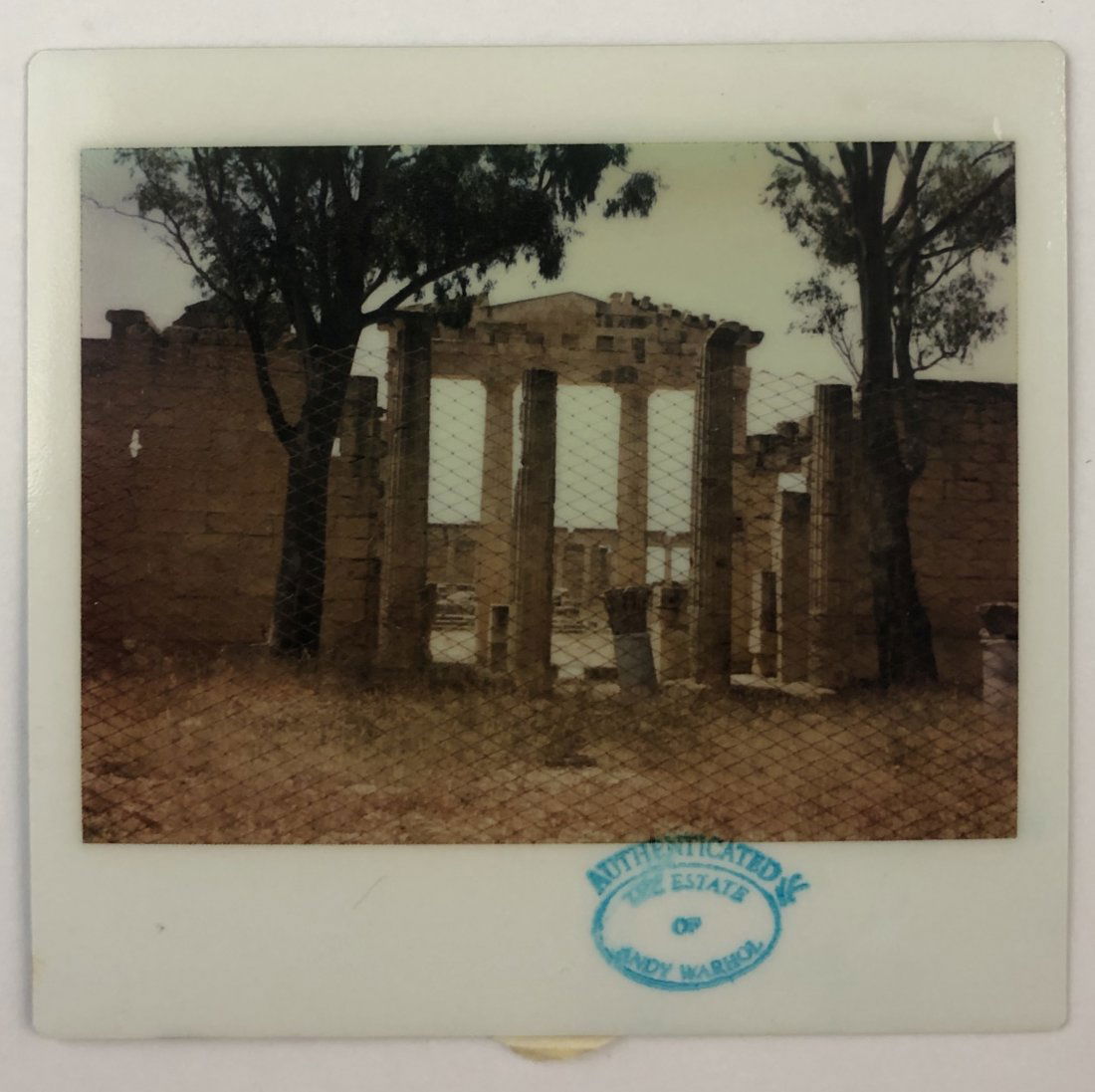 Andy Warhol - Polaroid (1 of 1)