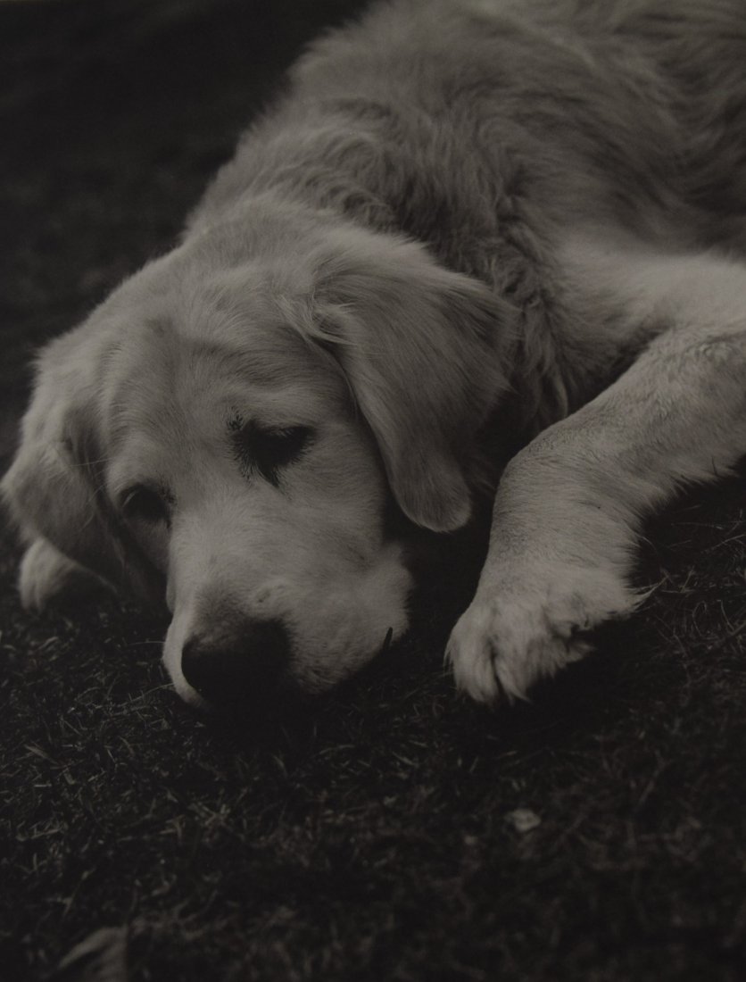 Bruce Weber - Rowdy, Camp Longwood, 1988: BRUCE WEBER (b. 1946) Rowdy, Camp Longwood, 1988 Sheet-fed gravure c. 1990 Printed in United States of America 9 3/8" x 7 1/4"