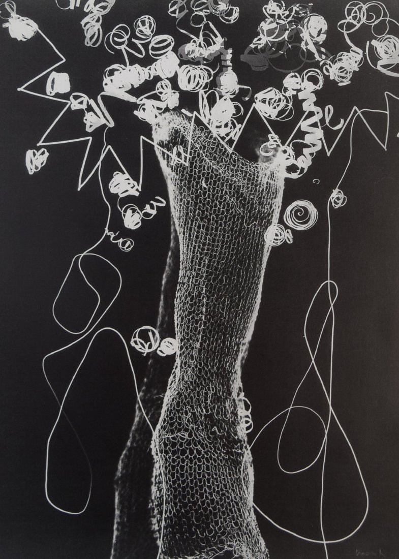 Man Ray - Rayograph, 1926 (1 of 1)