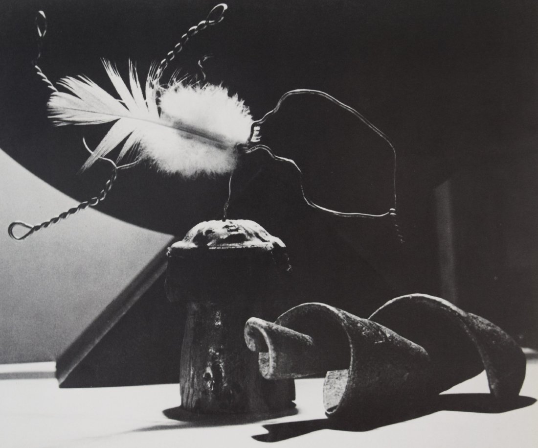 Man Ray - Origin of Species, 1935: MAN RAY (1890-1976) Origin of Species, 1935 Sheet-fed gravure 8 3/4" x 10 3/8"