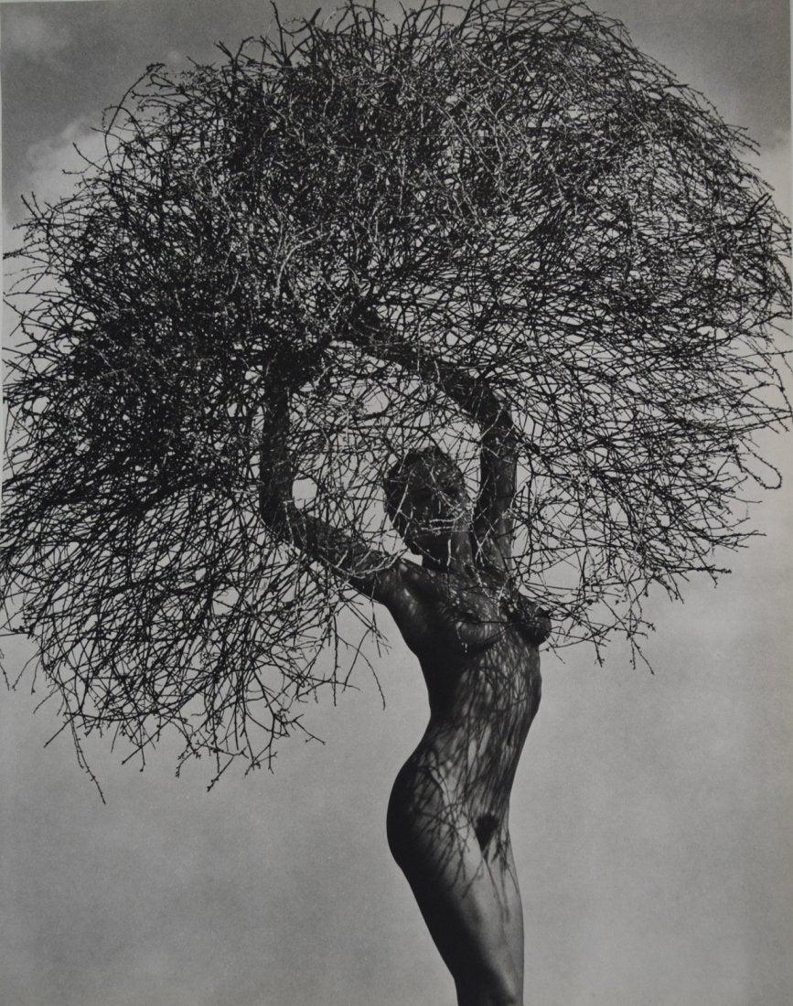 Herb Ritts - Nude , Neith with Tumbleweed , 1986: HERB RITTS (1952-2002) Herb Ritts - Nude , Neith with Tumbleweed , 1986 Sheet fed gravure C. 1986 Printed in Japan 14" x 11"