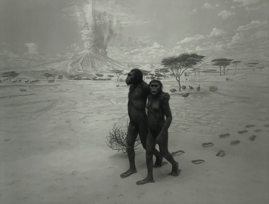 Hiroshi Sugimoto - Earliest Human Relatives, 1994 (1 of 1)