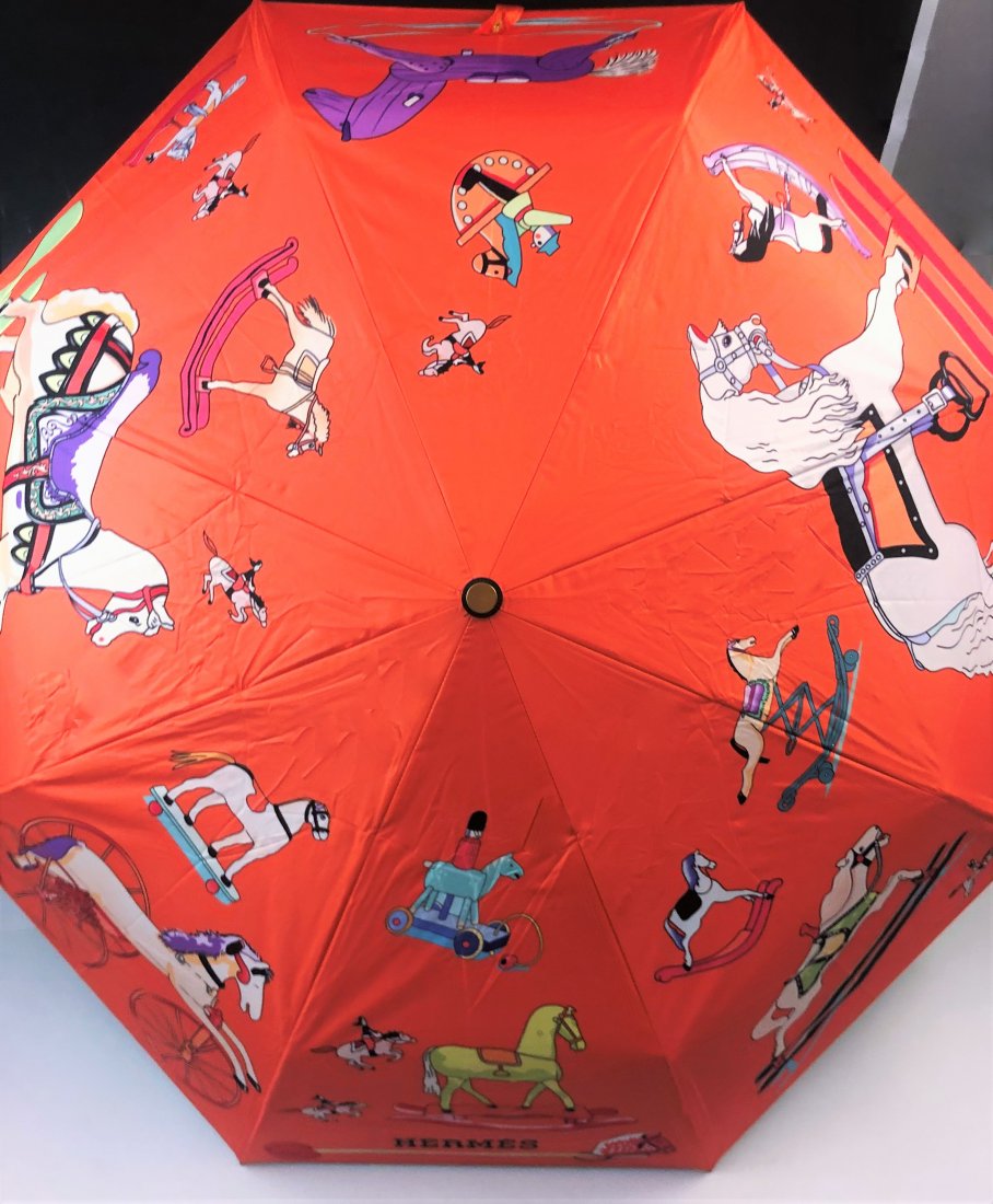 Hermes Umbrella (1 of 7)