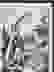 item-84484305=5