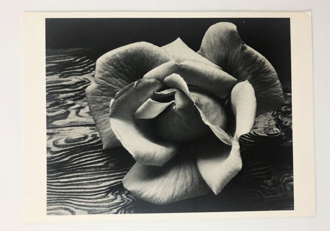 Ansel Adams - Greeting Card (Signed) (1 of 2)