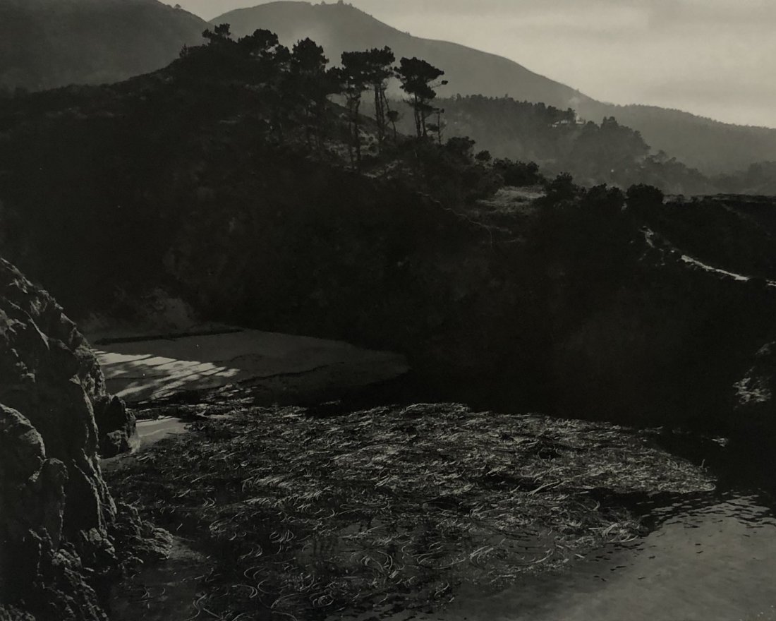 Edward Weston - China Cove, 1941 (Silver Gelatin): EDWARD WESTON (1886-1958) China Cove, 1941 Silver gelatin, mounted to board 7 1/2" x 9 1/2" image