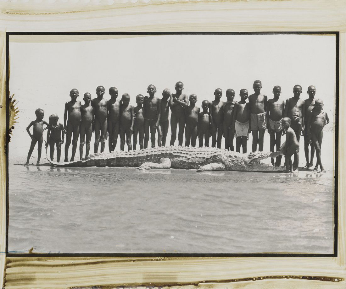 Peter Beard - Ferguson's Gulf Spit Crocodile, 1968 (1 of 1)