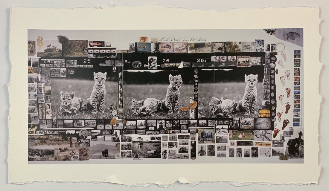Peter Beard - Orphan Cheetah Triptych, 1968 (1 of 8)