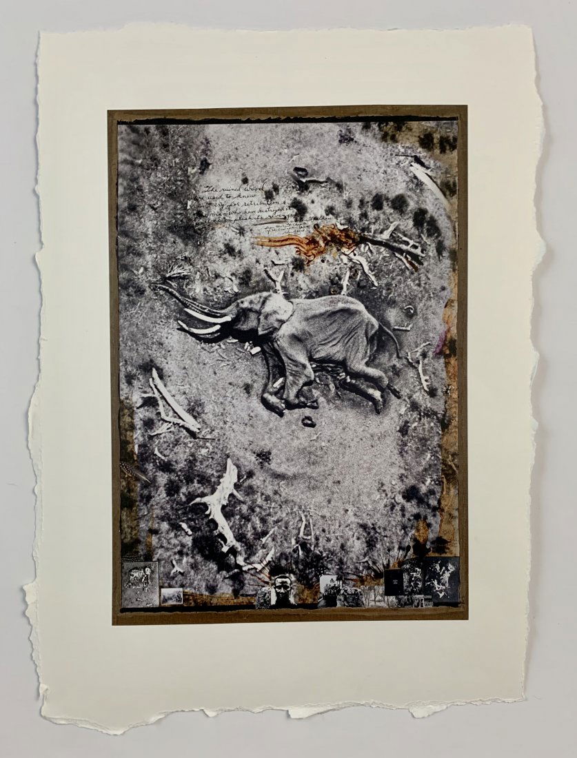 Peter Beard - Untitled, (The End of the Game) 1977 (1 of 8)