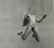 Andre de Dienes - Jumping Nude