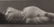 Ruth Bernhard - Double Vision, 1973