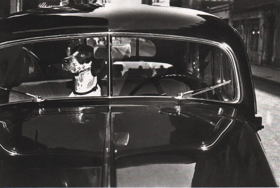 Elliott Erwitt - Waiting, 1951 (1 of 1)