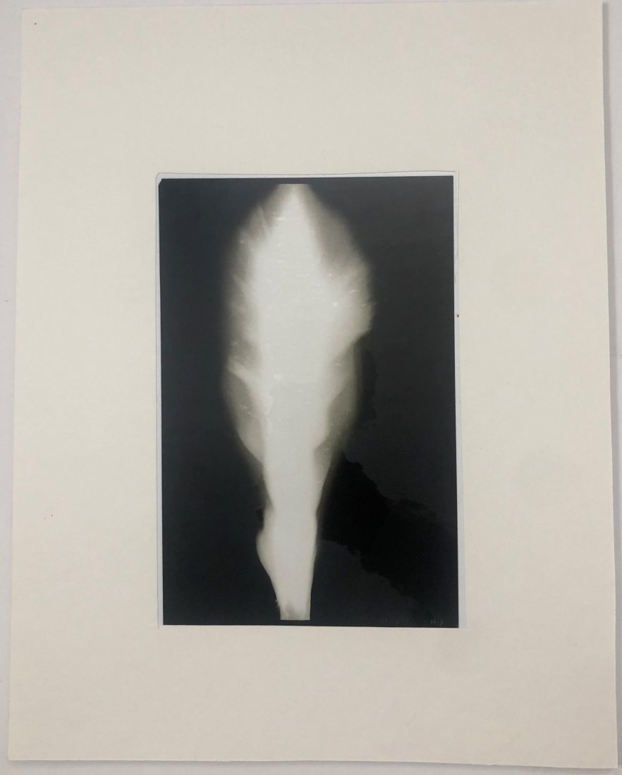 Hiroshi Sugimoto - In Praise of Shadow, 1998 (Acetate) (1 of 4)