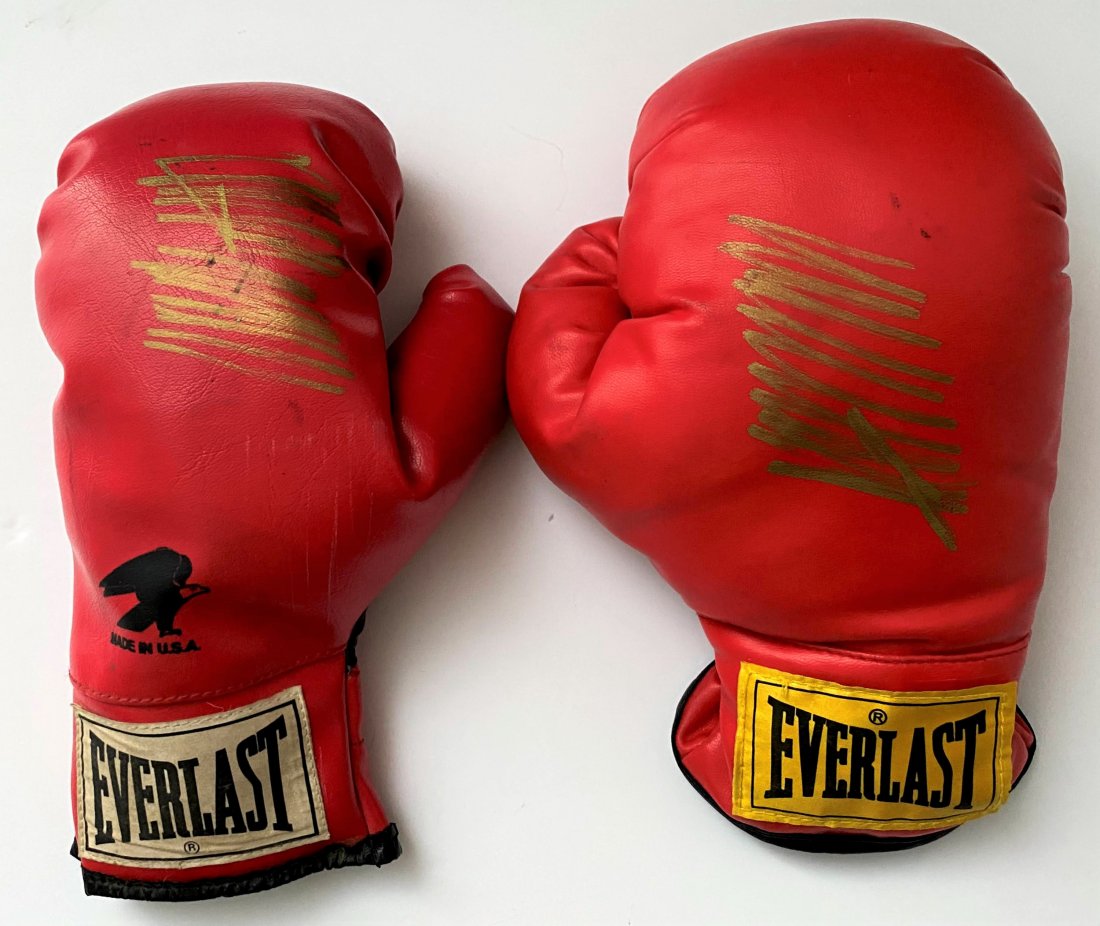 Pair of Donald Trump Boxing Gloves (Hand Signed) (1 of 8)