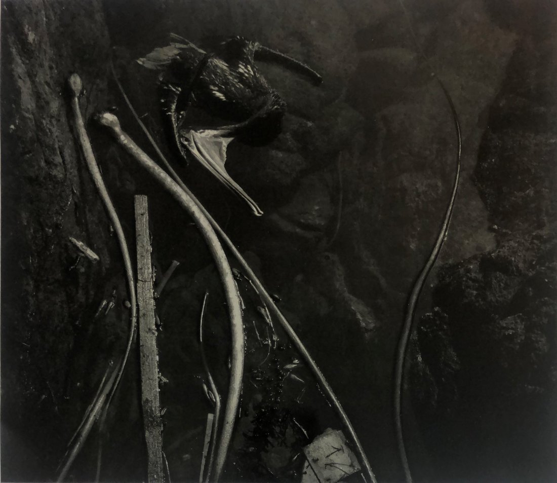 Edward Weston - Tide Pool, 1945 (Silver Gelatin) (1 of 1)