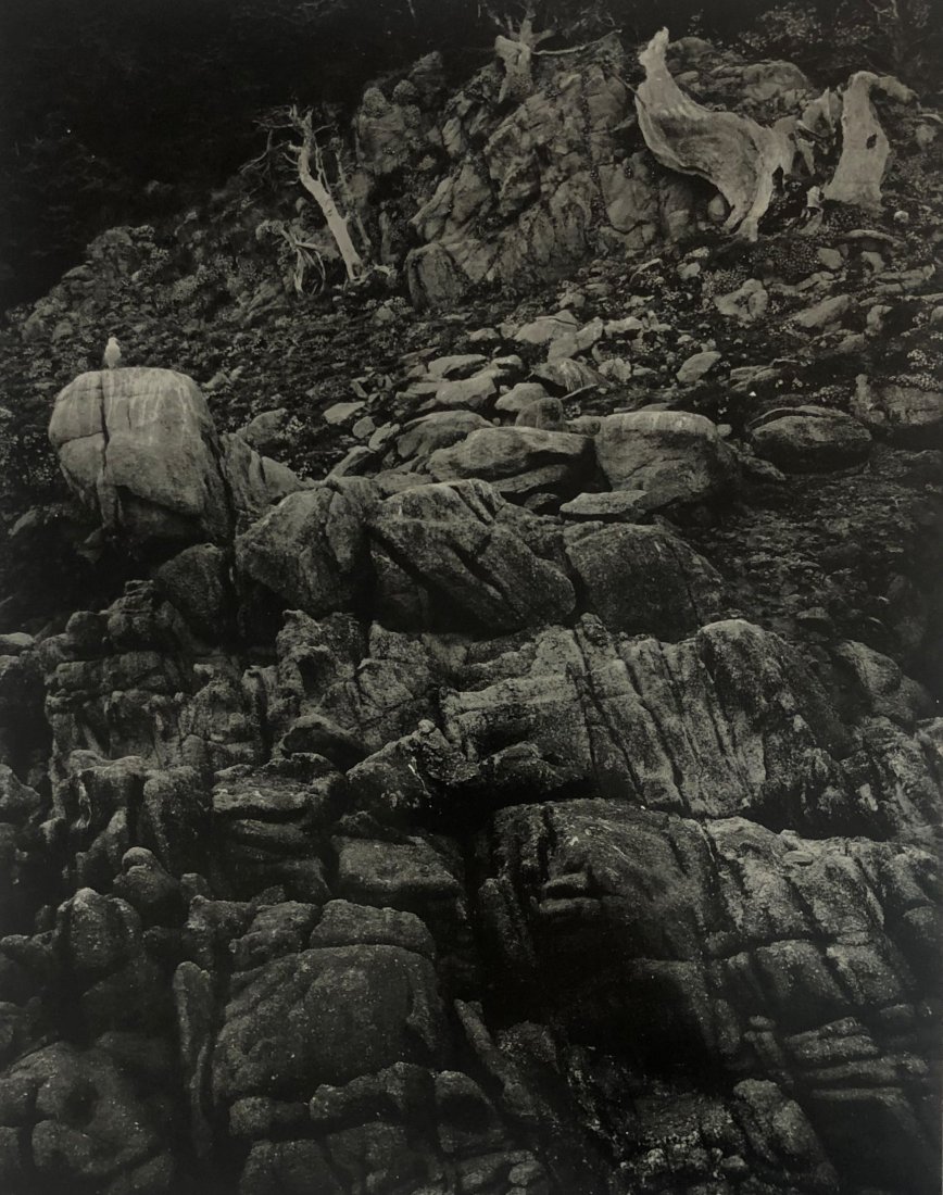 Edward Weston - North Dome, 1946 (Silver Gelatin): EDWARD WESTON (1886-1958) North Dome, 1946 Silver gelatin 7 1/2" x 9 5/8"