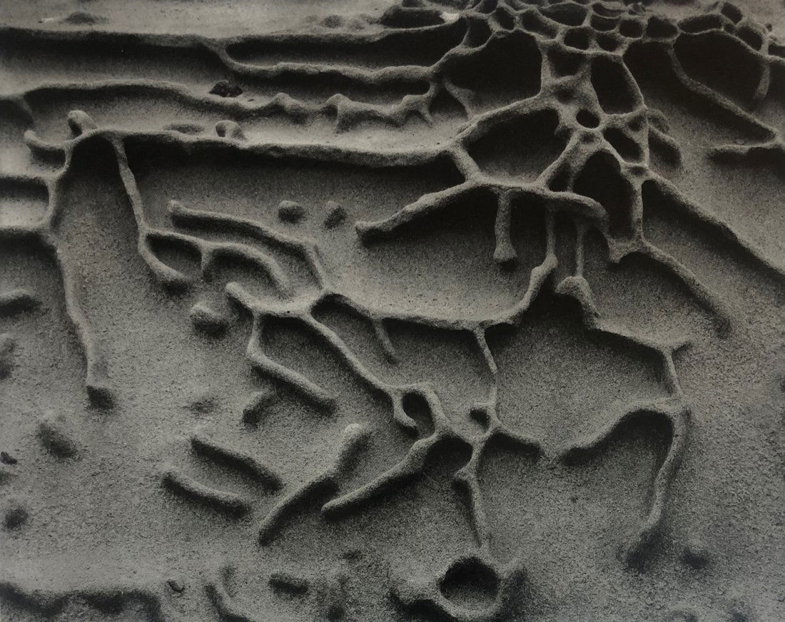 Edward Weston - Eroded Rock, 1942 (Silver Gelatin) (1 of 1)