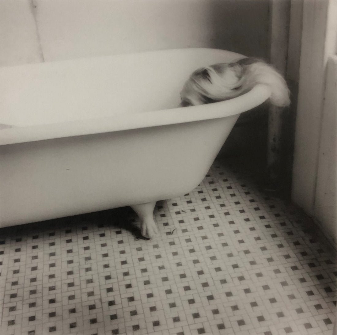 Francesca Woodman - Untitled New York, 1980 (1 of 1)