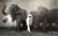 Richard Avedon - Dovima, Elephants, Paris Photograph - 2