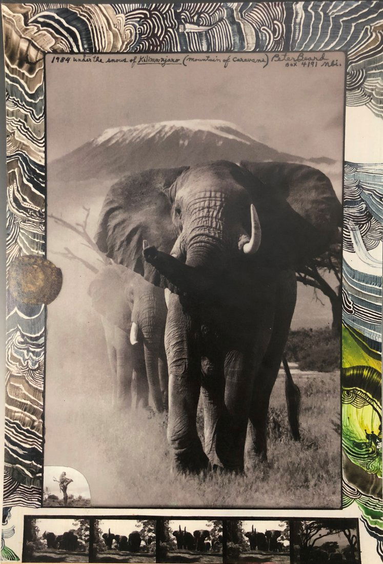 Peter Beard - Elephants, Kilimanjaro, 1984: PETER BEARD (1938-2020) Elephant, Kilimanjaro, 1984 Photo-litho 14 3/4" x 10"