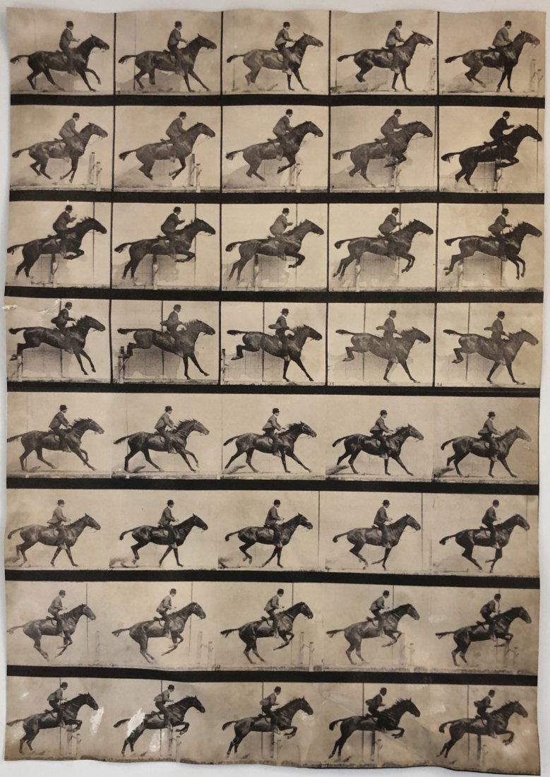 Eadweard Muybridge - Animal Locomotion (1 of 4)
