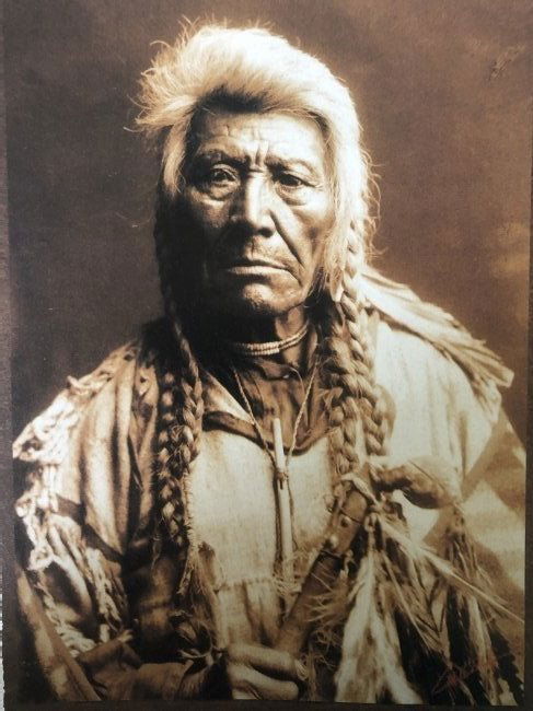 Edward Curtis - Far Eagle, 1900 (1 of 1)