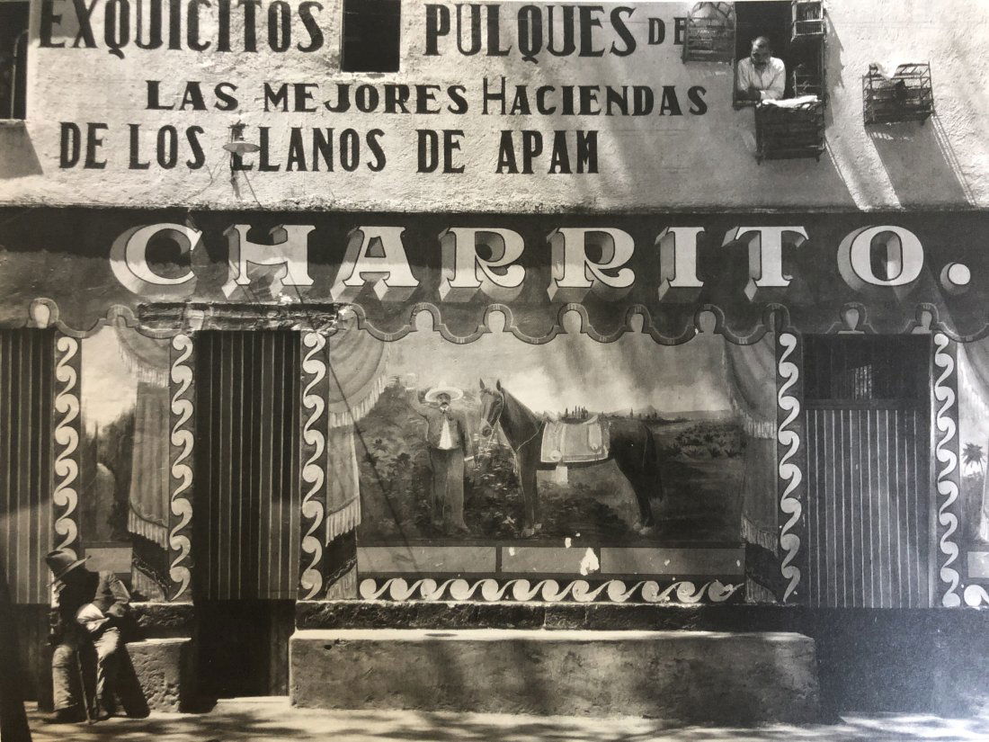 Edward Weston - Charrito (Pulqueria), Mexico, 1926 (1 of 1)