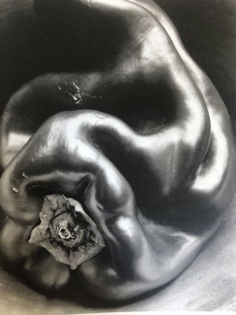 Edward Weston - Pepper, 1930 (1 of 1)
